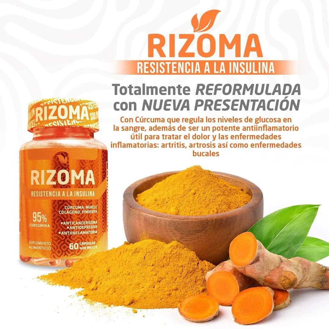 Rizoma