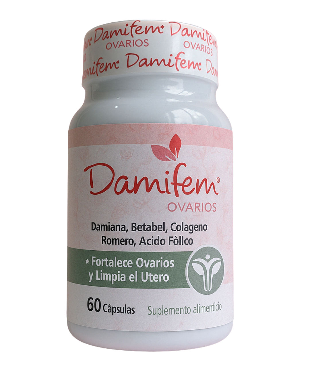 Damifem